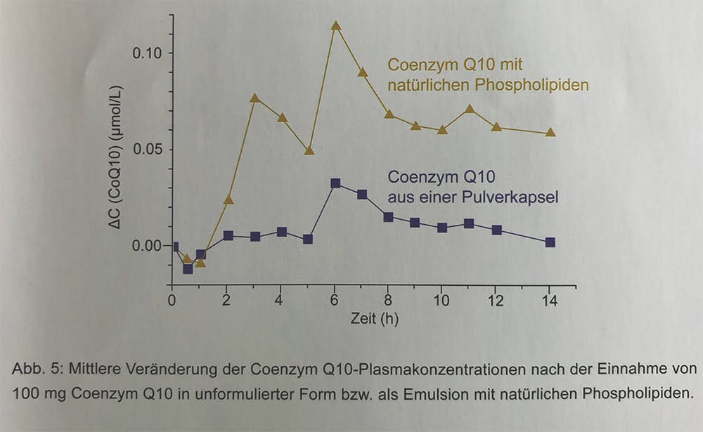 coenzym-q10-resorption