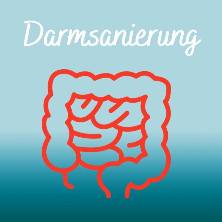 Darmsanierung