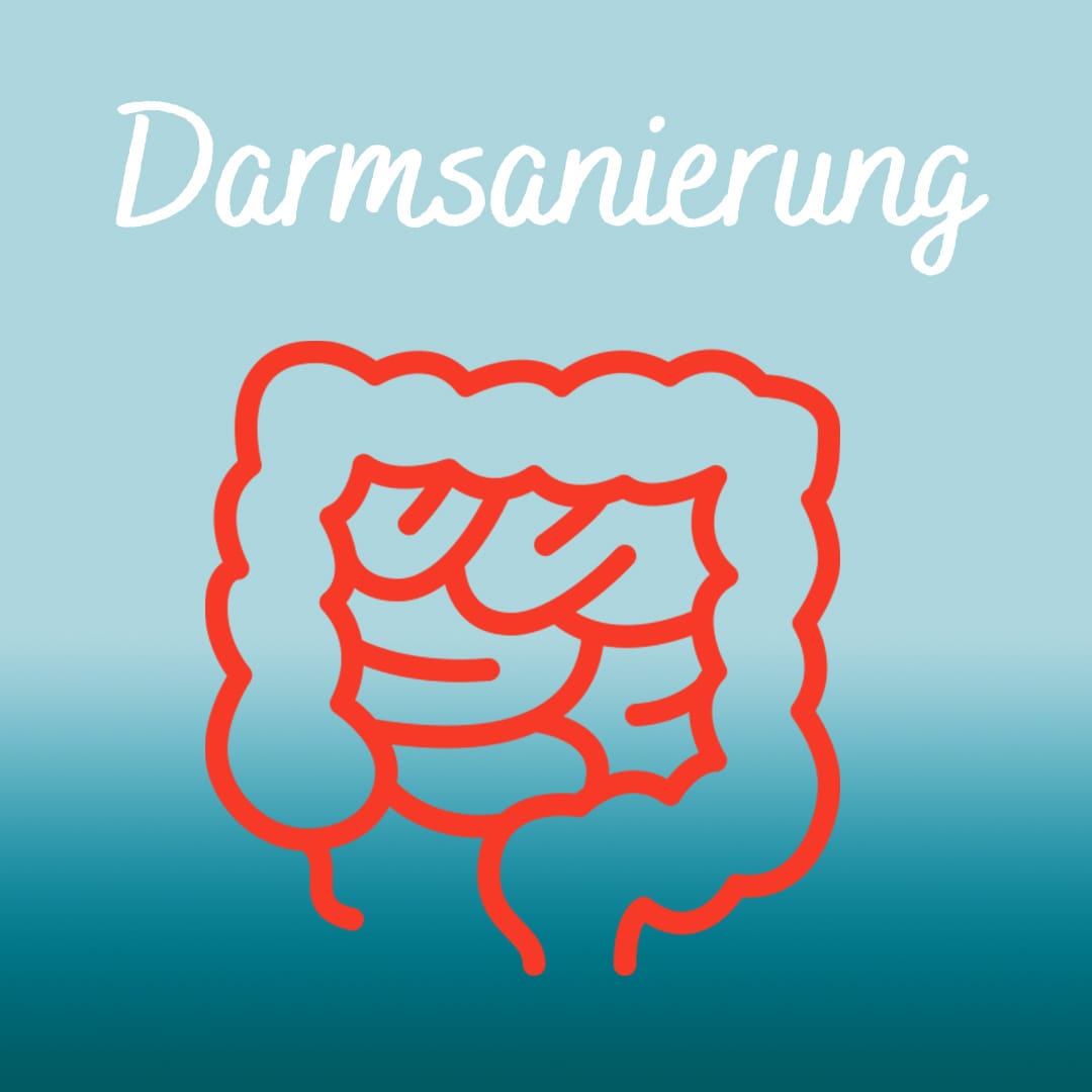 Darmsanierung