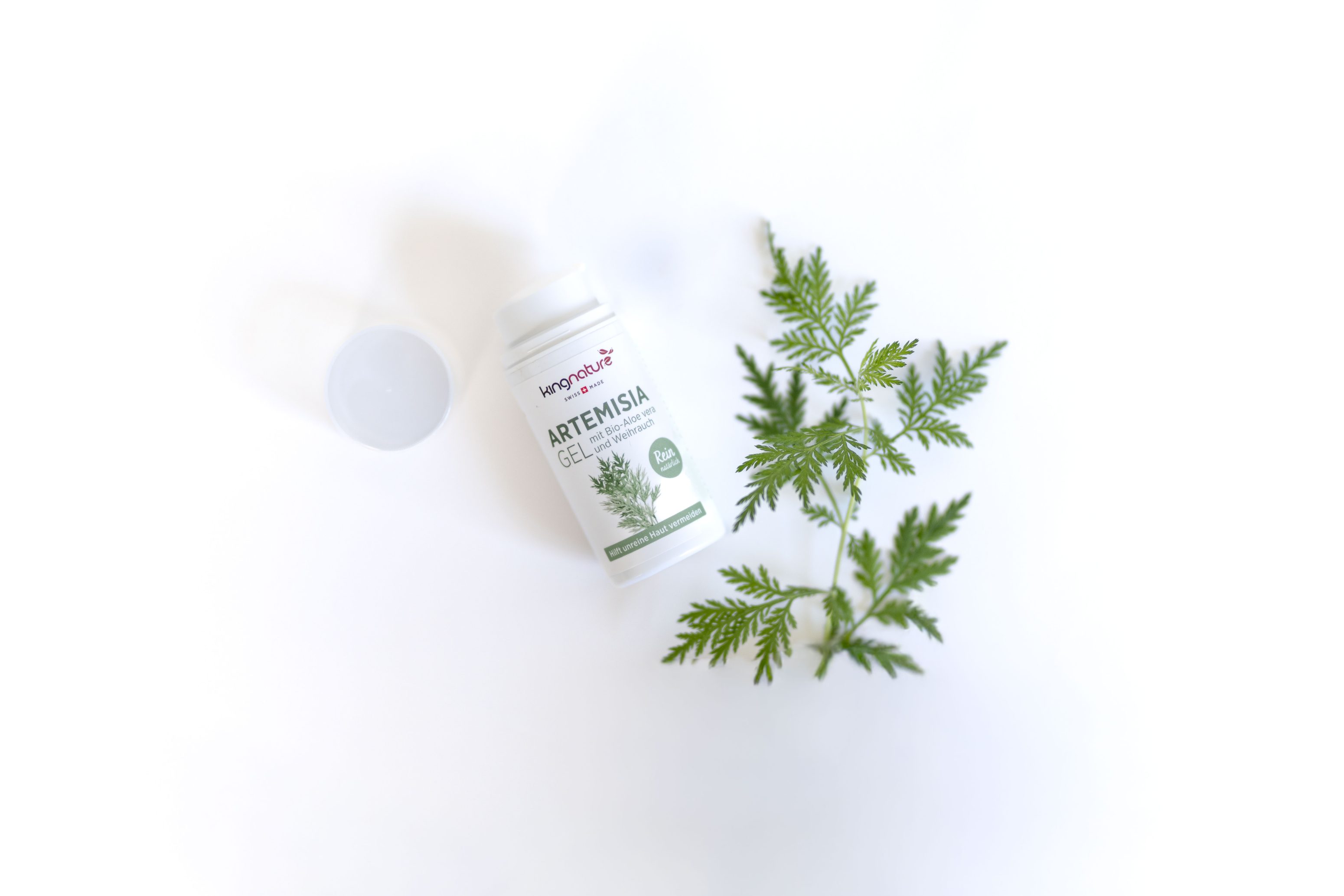Eine Flasche Artemisia-Gel ohne Verschluss liegt neben einem Zweig mit grünen Artemisia-Blättern auf weißem Hintergrund.