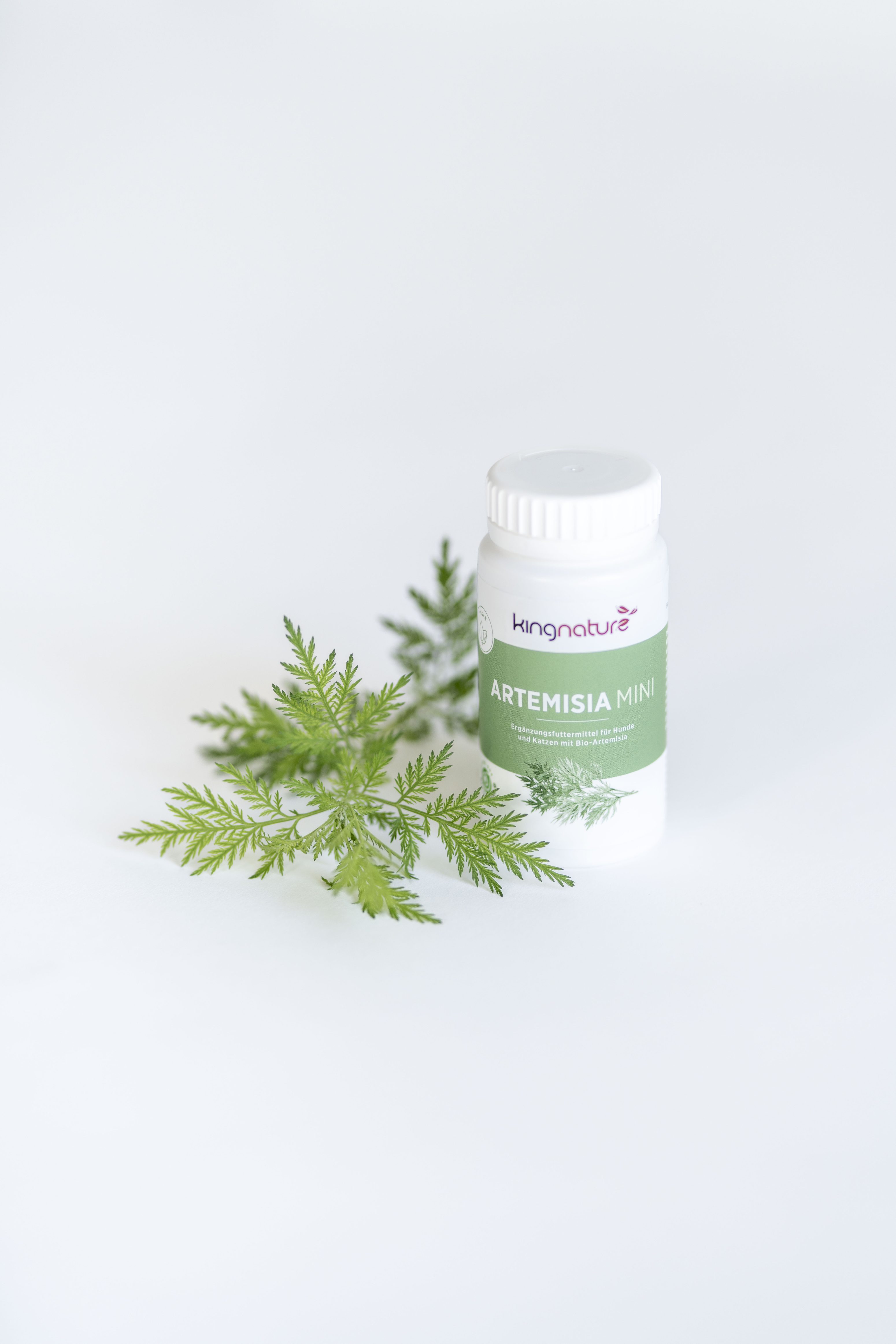 Eine weiße Flasche mit der Aufschrift kingnature ARTEMISIA MINI steht auf einer weißen Fläche neben einem grünen Artemisia-Pflanzenzweig, beide vor einem hellen Hintergrund.