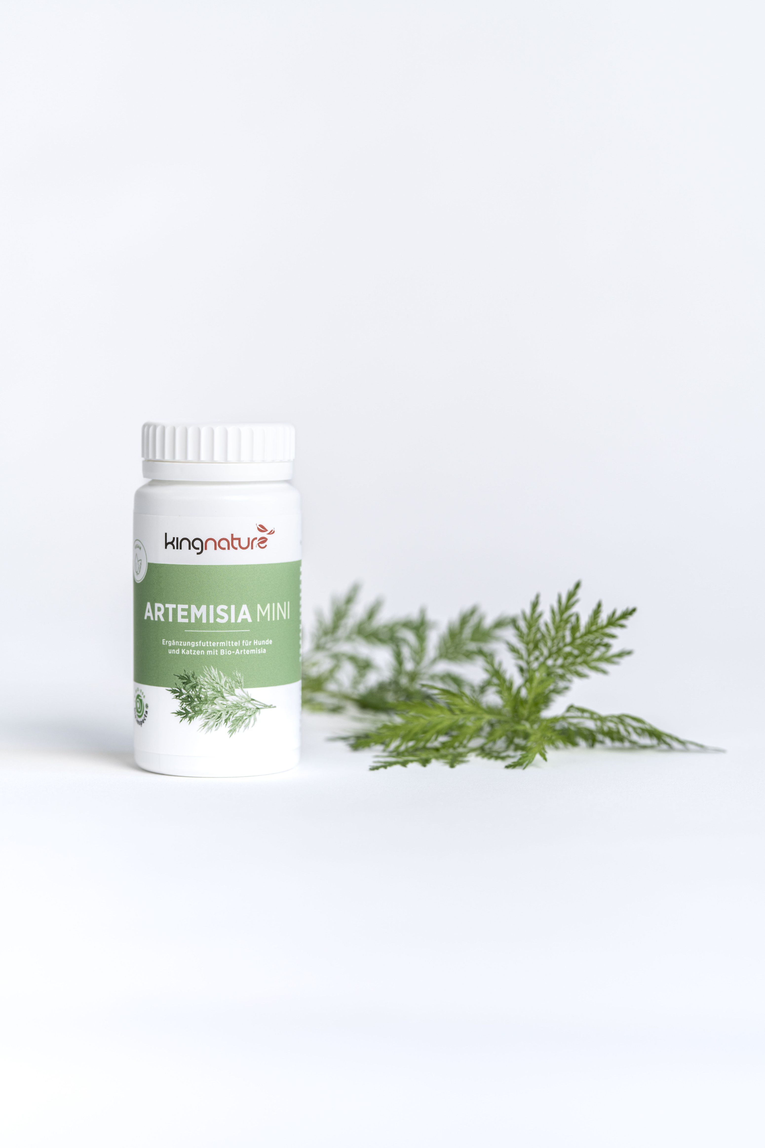 Ein weißer Flakon mit der Aufschrift Artemisia Mini steht neben einem grünen Artemisia-Blatt auf einer weißen Fläche, mit minimalistischer Verpackung und sauberem Hintergrund.