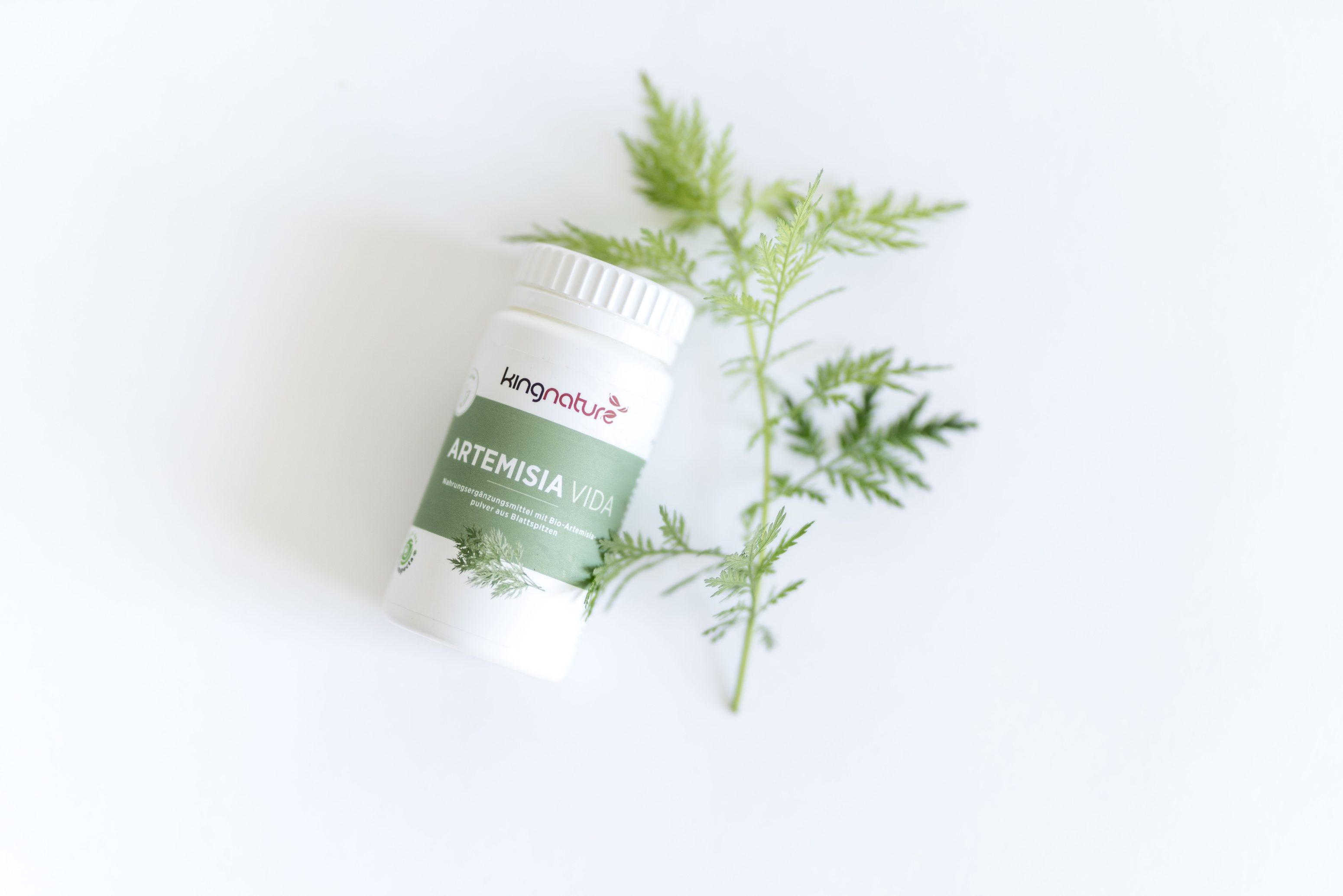 Eine weiße Flasche mit der Aufschrift kingnature ARTEMISIA VIDA liegt neben einem grünen Artemisia-Pflanzenzweig auf weißem Hintergrund.