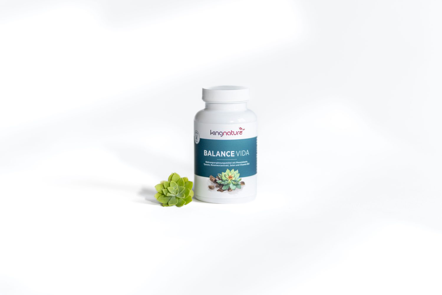 Eine weiße Flasche des Nahrungsergänzungsmittels Balance Vida von kingnature steht aufrecht neben einer kleinen grünen Sukkulentenpflanze auf einem schlichten weißen Hintergrund.