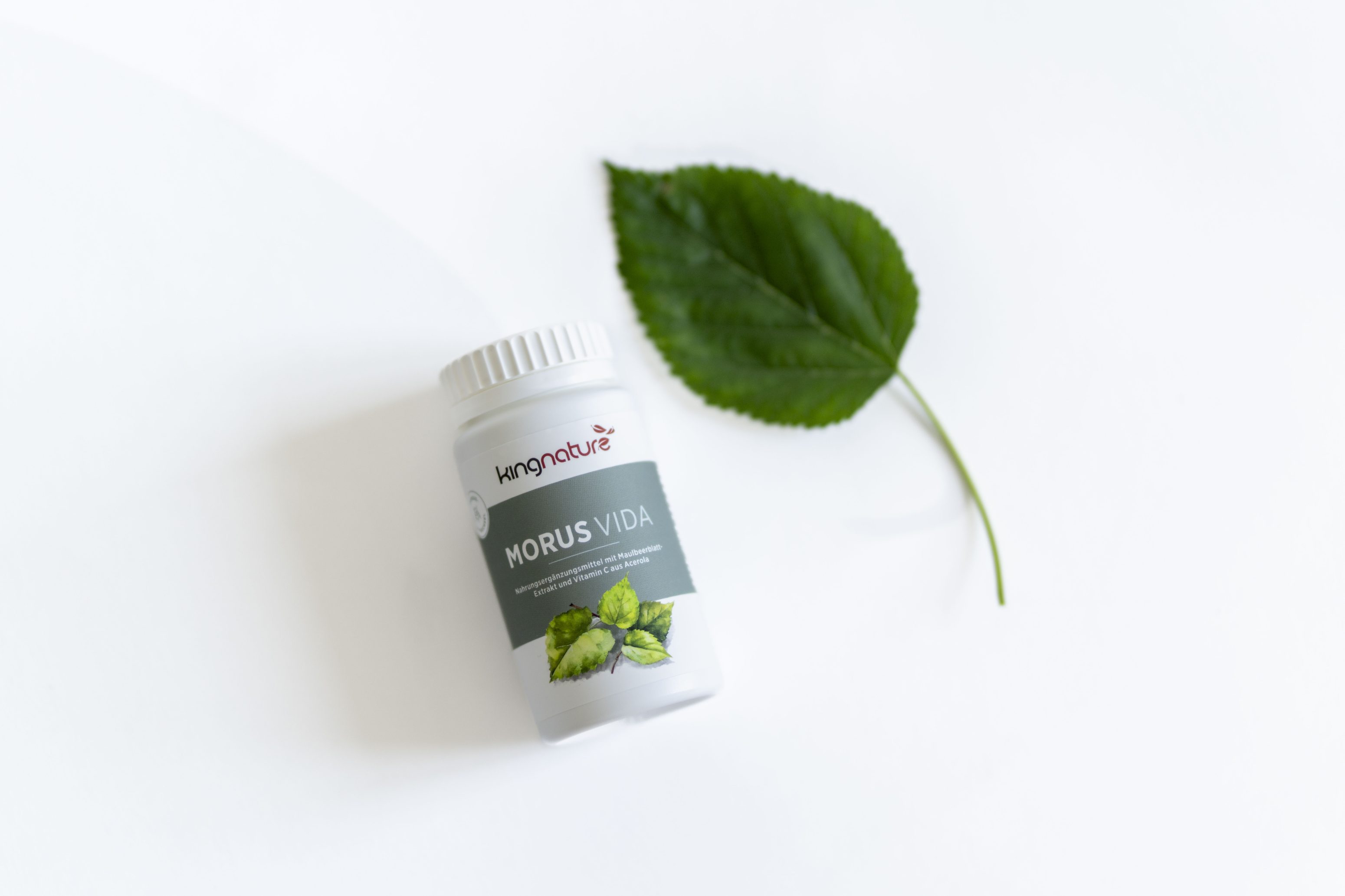 Eine weiße Flasche mit der Aufschrift Morus Vida und einer Abbildung von grünen Maulbeerblättern steht neben einem einzelnen Maulbeerblatt auf weißem Hintergrund.