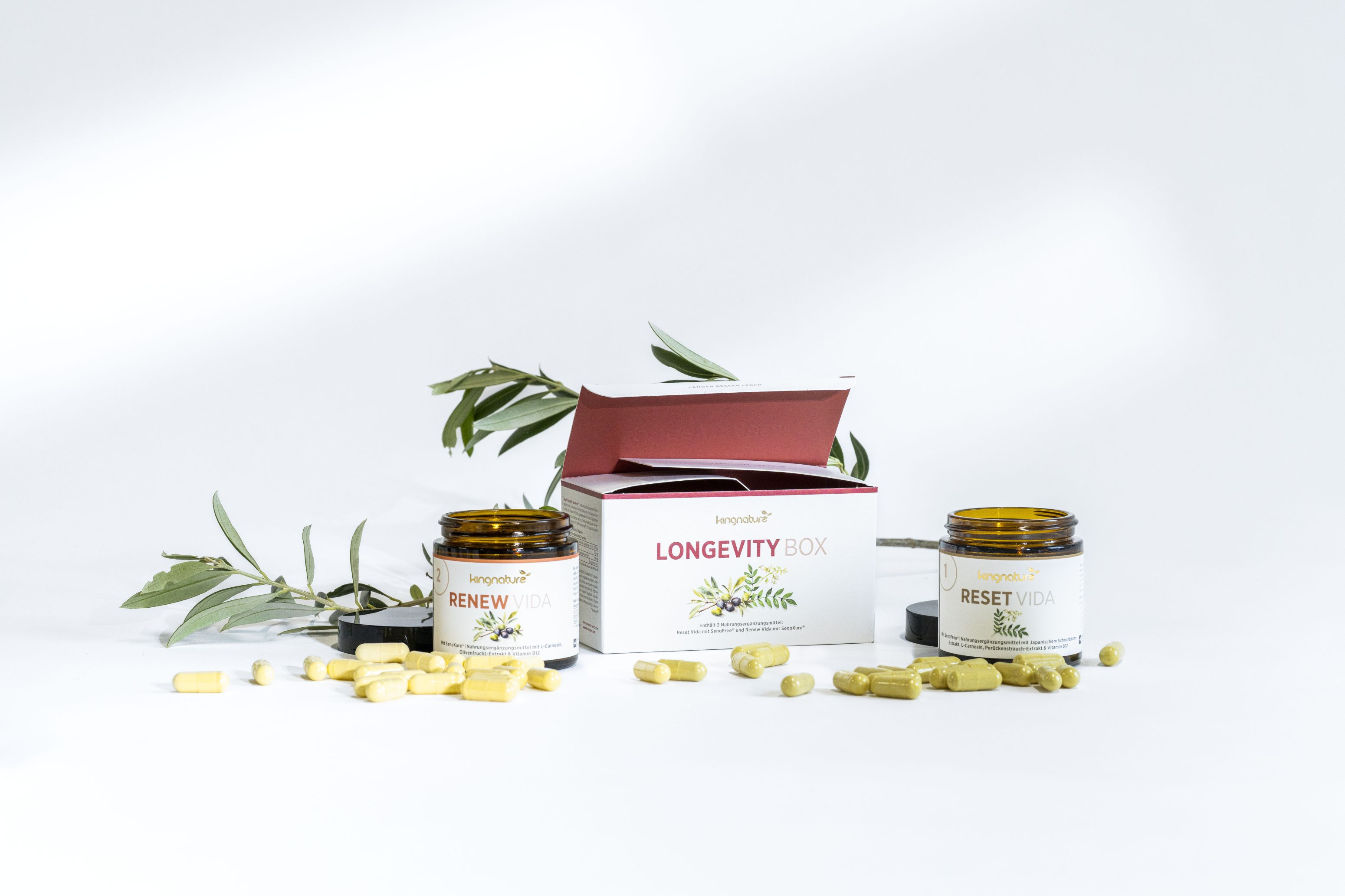 Zwei braune Nahrungsergänzungsdosen mit der Aufschrift RENEW VIDA und RESET VIDA stehen neben einer offenen Schachtel mit der Aufschrift LONGEVITY BOX. Gelbe Kapseln liegen verstreut herum, und grüne Blätter sind dekorativ im Hintergrund angeordnet.