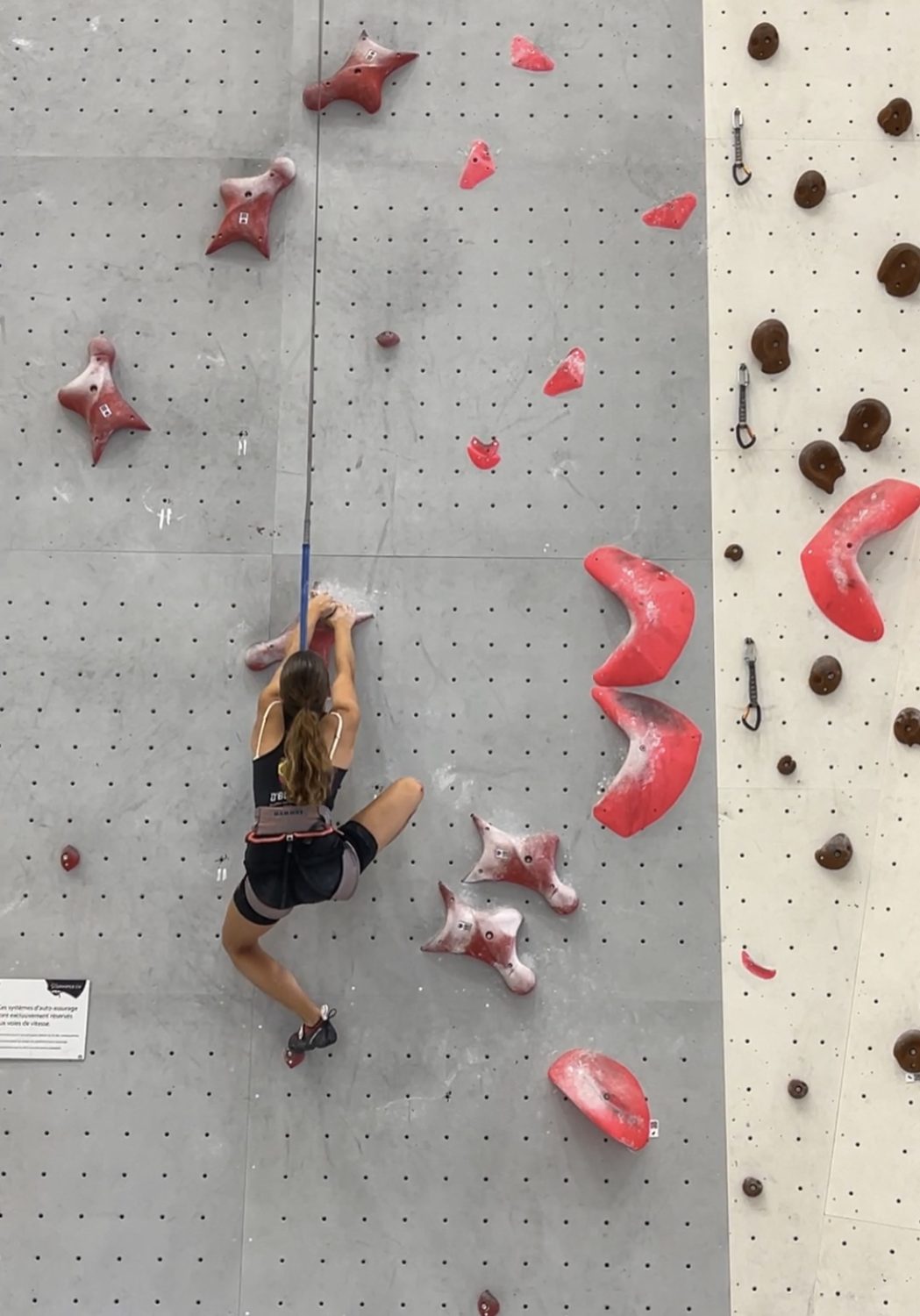 Valentina von Gunten, mit langen Haaren zu einem Pferdeschwanz gebunden, klettert eine Indoor-Kletterwand mit rosa und roten Griffen. Mit Klettergurt und Sportkleidung bewältigt sie mit einem Sicherungsseil unterschiedlich geformte Griffe.