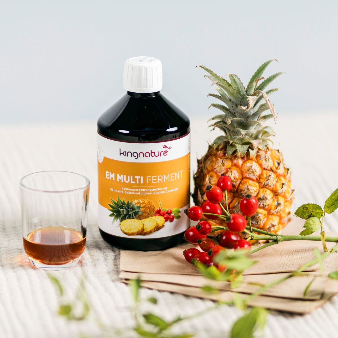 kingnature EM Multi Ferment - INSTA