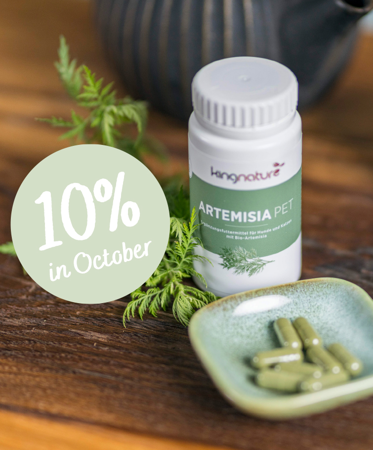 Eine weiße Flasche mit der Aufschrift Boswellia Vida von kingnature steht auf einem weiß gedeckten Tisch mit Geschirr, Obst und Gläsern. In einem beigen Kreis steht "10% im Juli". Zwei Personen sitzen am Tisch, nur ihre Arme und Oberkörper sind zu sehen.