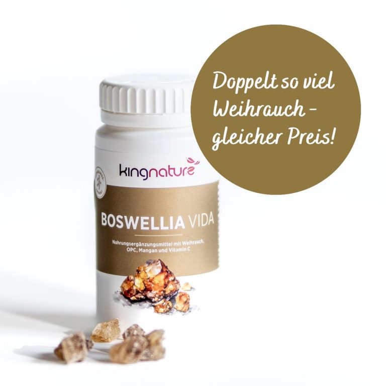 Eine Flasche mit dem Ergänzungsmittel Kingnature Boswellia Vida steht aufrecht, daneben liegen Stücke von Boswellia-Weihrauchharz. Auf einem braunen Kreis steht: Doppelt so viel Weihrauch - gleicher Preis! (Doppelt so viel Weihrauch - gleicher Preis!).