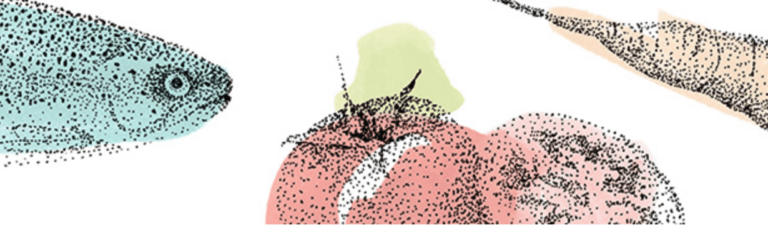 Illustration von Esther Gebendinger eines blauen Fisches, einer roten Tomate mit grünem Stiel und einer beigen länglichen Form, erstellt in einem gepunkteten, pointillistischen Stil auf weißem Hintergrund.