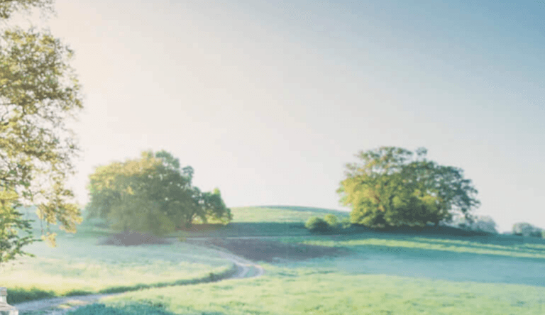 Ein gewundener Feldweg schlängelt sich durch ein grasbewachsenes, sonnenbeschienenes Feld und stellt Lyss‘ Ausdauer unter Beweis, während er sich unter einem klaren blauen Himmel zwischen großen grünen Bäumen hindurchschlängelt, die über sanft geschwungene Hügel verstreut sind.