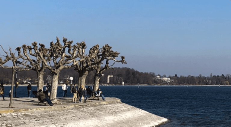 Menschen gehen unter beschnittenen Bäumen an einem gepflasterten Uferabschnitt neben einer großen blauen Wasserfläche spazieren und entspannen sich. Im Hintergrund sind unter einem klaren Himmel die Vaiana Naturheilpraxis und Gebäude zu sehen.