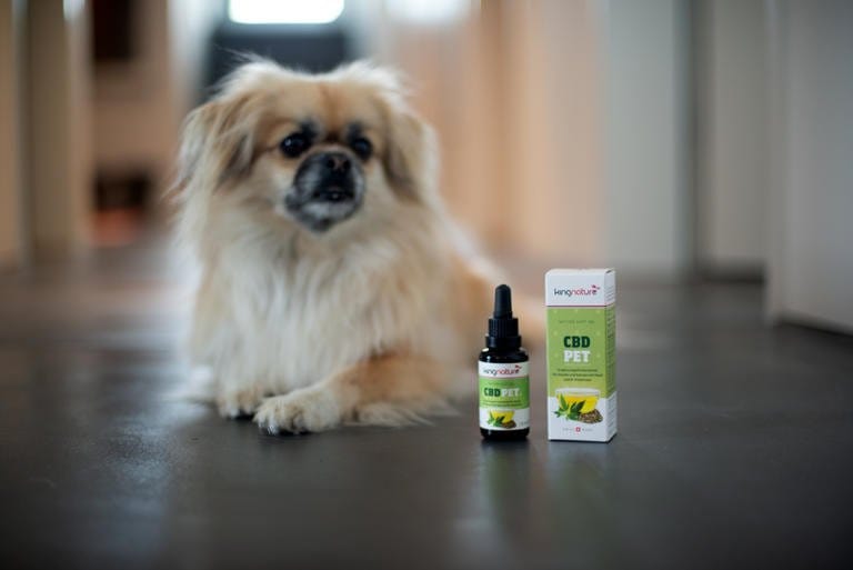 kingnature, CBD Pet, Schweizer Anbau, Hanf, höchste Qualität, 30ml, positive Seite an Hanf, CBD-Hanf, Cannabis Sativa, vegan, Swiss Made, Hanf-Öl, 48.8% eines Extraktes aus traditionellem Hanf, normale Funktion des Nervensystems, Energiestoffwechsel, Pipette, hochwertig, Verringerung von Müdigkeit, Funktion des Immunsystems, mit Vitamin B6 und B12, kontrolliertes Produkt , mittelkettige Triglyceride, MCT, für Hunde und Katzen, Tiere, Haustiere, Hund, Flasche, verschwomme, grün, braun, zuhause, Wohnung, kleiner Hund, Lieblingstier, Haustier