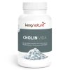 Eine weiße Flasche mit der Bezeichnung Cholin Vida von kingnature zeigt ein weißes Pulver und hebt auf dem Etikett Cholin, Citicolin, Phosphatidylserin, B-Vitamine und Folsäure hervor.
