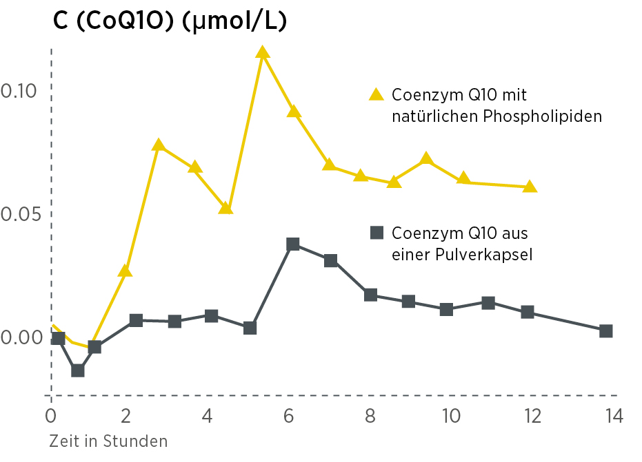 Liniendiagramm mit den Blutspiegeln von Coenzym Q10 (µmol/L) über 14 Stunden für Q10 Vida - Coenzym Q10 mit natürlichen Phospholipiden (gelb, höhere Spitzen) im Vergleich zu einer Pulverkapsel (grau). Hilfreich für diejenigen, die die Absorption vor dem Kauf vergleichen möchten.
