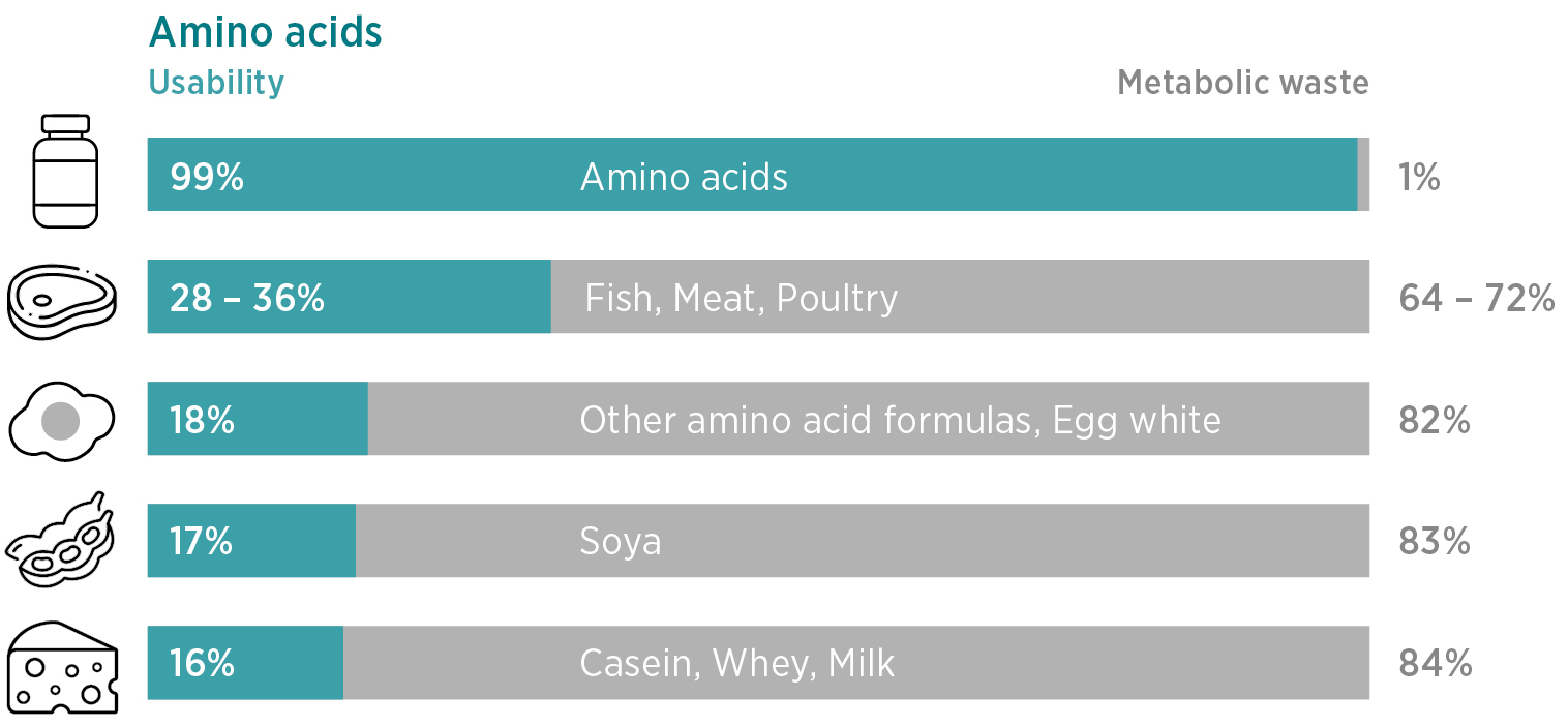 Ein horizontales Balkendiagramm vergleicht die Verwertbarkeit und den metabolischen Abfall verschiedener Proteinquellen: Amino Vida (99 % Verwertbarkeit), Fisch/Fleisch/Geflügel (28-36 %), Aminosäurenformeln/Eiweiß (18 %), Soja (17 %) und Kasein/Molke (16 %).