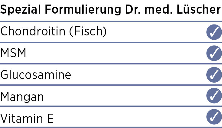 Die Zutatenliste von MSM Vida: Chondroitin (Fisch), MSM, Glucosamin, Mangan und Vitamin E - ideal für alle, die MSM Kapseln kaufen möchten - jeweils mit Häkchen versehen.