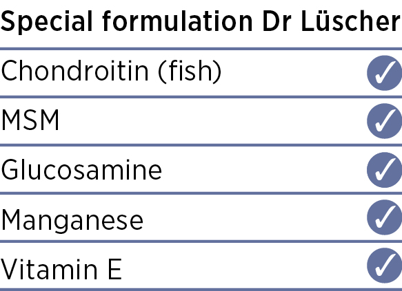 Tabelle mit den Inhaltsstoffen von MSM Vida: Chondroitin (Fisch), MSM, Glucosamin, Mangan und Vitamin E - jeweils mit einem Häkchen daneben. Ideal für diejenigen, die MSM Kapseln kaufen möchten.
