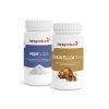 Zwei Kingnature-Nahrungsergänzungsmittelflaschen aus dem Gelenkpaket: MSM Vida mit blauem Etikett und weißem Pulver und Boswellia Vida mit goldenem Etikett und Boswellia-Harz. Beide Flaschen haben weiße Verschlüsse, die ihre natürlichen Inhaltsstoffe hervorheben.