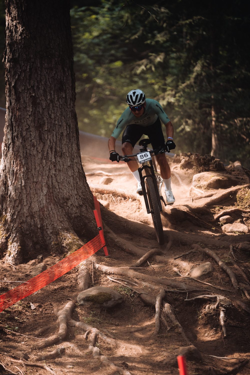 Ein Radfahrer, der einen Helm und eine Sonnenbrille trägt, fährt mit seinem Mountainbike einen holprigen, wurzelübersäten Waldweg hinunter, vorbei an einem großen Baum und einem roten Band, das die Strecke markiert.
