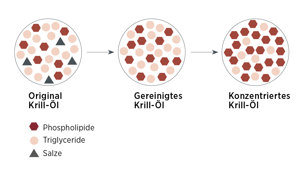 Drei beschriftete Kreise erklären die Reinigung von Krill Vida: Original (Omega-3, Phospholipide, Salze), gereinigt (ohne Salze) und konzentriert (phospholipidreich).