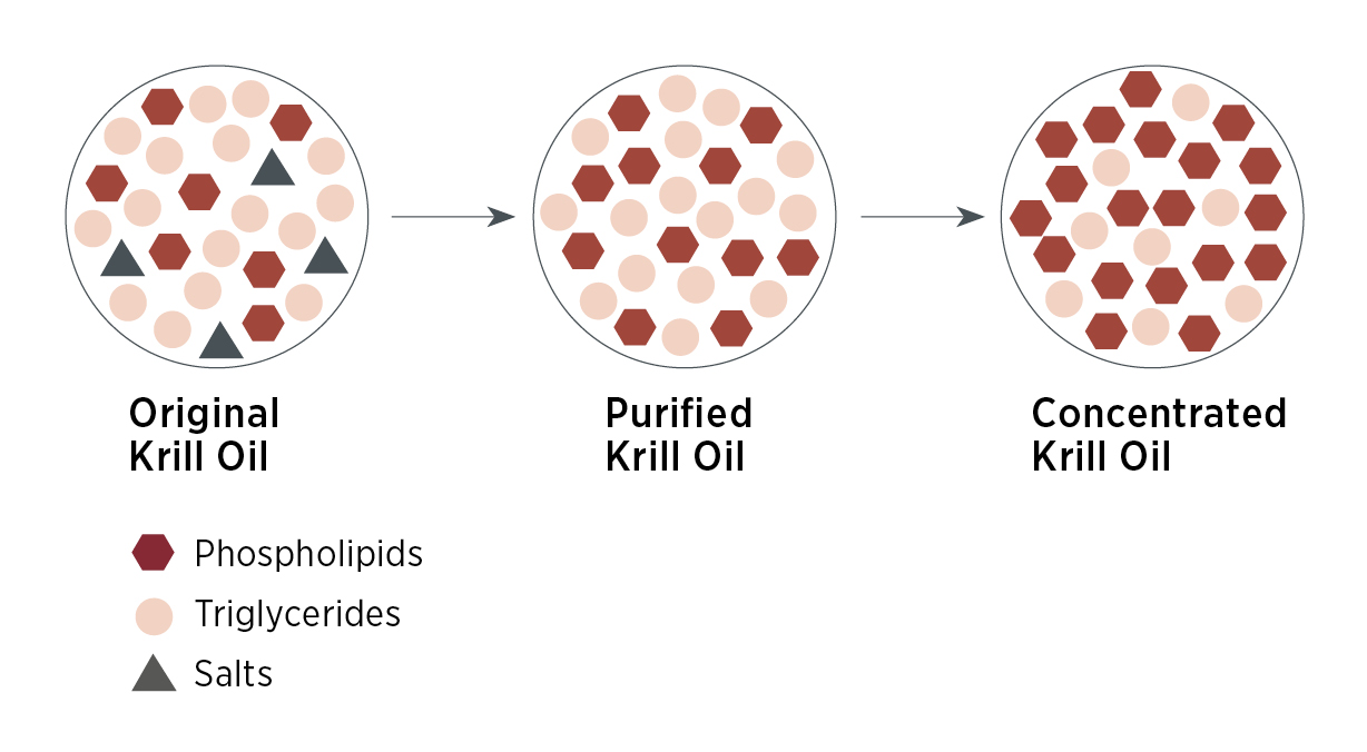 Das Diagramm zeigt drei Kreise mit den Bezeichnungen Original, Gereinigtes und Konzentriertes Krill-Vida-Öl, jeweils mit Symbolen für Phospholipide, Triglyceride und Salze - zur Veranschaulichung des Raffinationsprozesses des Öls für diejenigen, die Omega-3-Fettsäuren kaufen möchten.