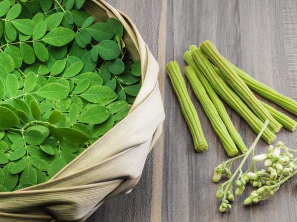 Moringa-