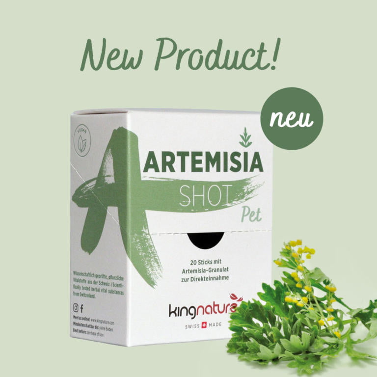 artemisia shot new product