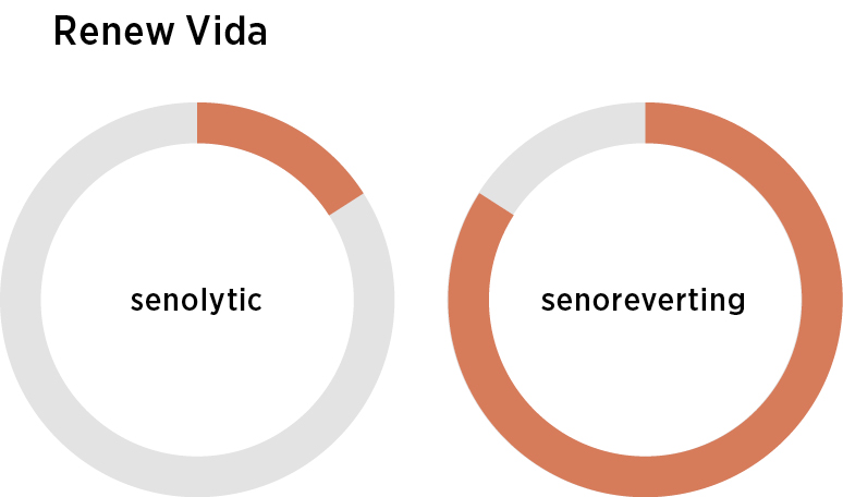 Unter der Überschrift Longevity Box werden zwei Donut-Diagramme angezeigt: Das senolytische Diagramm ist etwa zu einem Viertel gefüllt, während das senorevertierende Diagramm fast vollständig gefüllt ist und nur eine kleine Lücke aufweist.