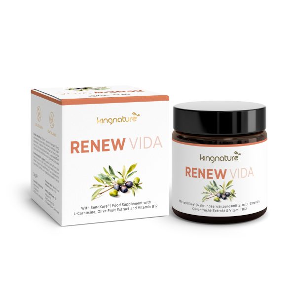 Ein Glas und eine Schachtel des Nahrungsergänzungsmittels Kingnature Renew Vida mit Olivenabbildungen und der Aufschrift „L-Carnosin, Olivenfruchtextrakt, Vitamin B12“ und natürlichen Inhaltsstoffen. Die Verpackung ist weiß mit grünen und goldenen Akzenten.