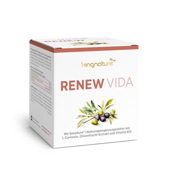 Eine weiße Schachtel mit der Aufschrift „kingnature RENEW VIDA“ zeigt eine Abbildung von Oliven und Blättern. Der Text unten hebt es als Nahrungsergänzungsmittel mit L-Carnosin, Olivenfruchtextrakt, Vitamin B12 und antioxidativen Eigenschaften hervor.