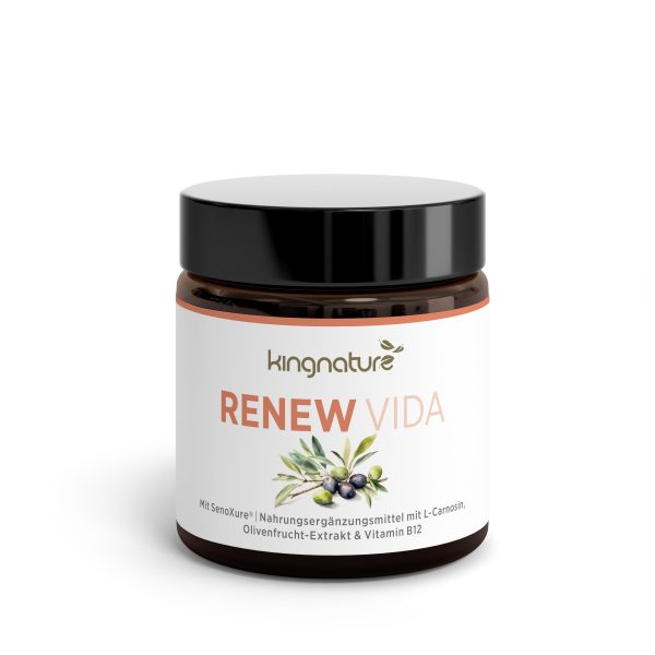 Ein braunes Glas mit schwarzem Deckel mit der Aufschrift „kingnature RENEW VIDA“. Das Etikett zeigt Oliven und grüne Blätter und hebt L-Carnosin, Olivenfruchtextrakt, Vitamin B12 und natürliche Inhaltsstoffe hervor.