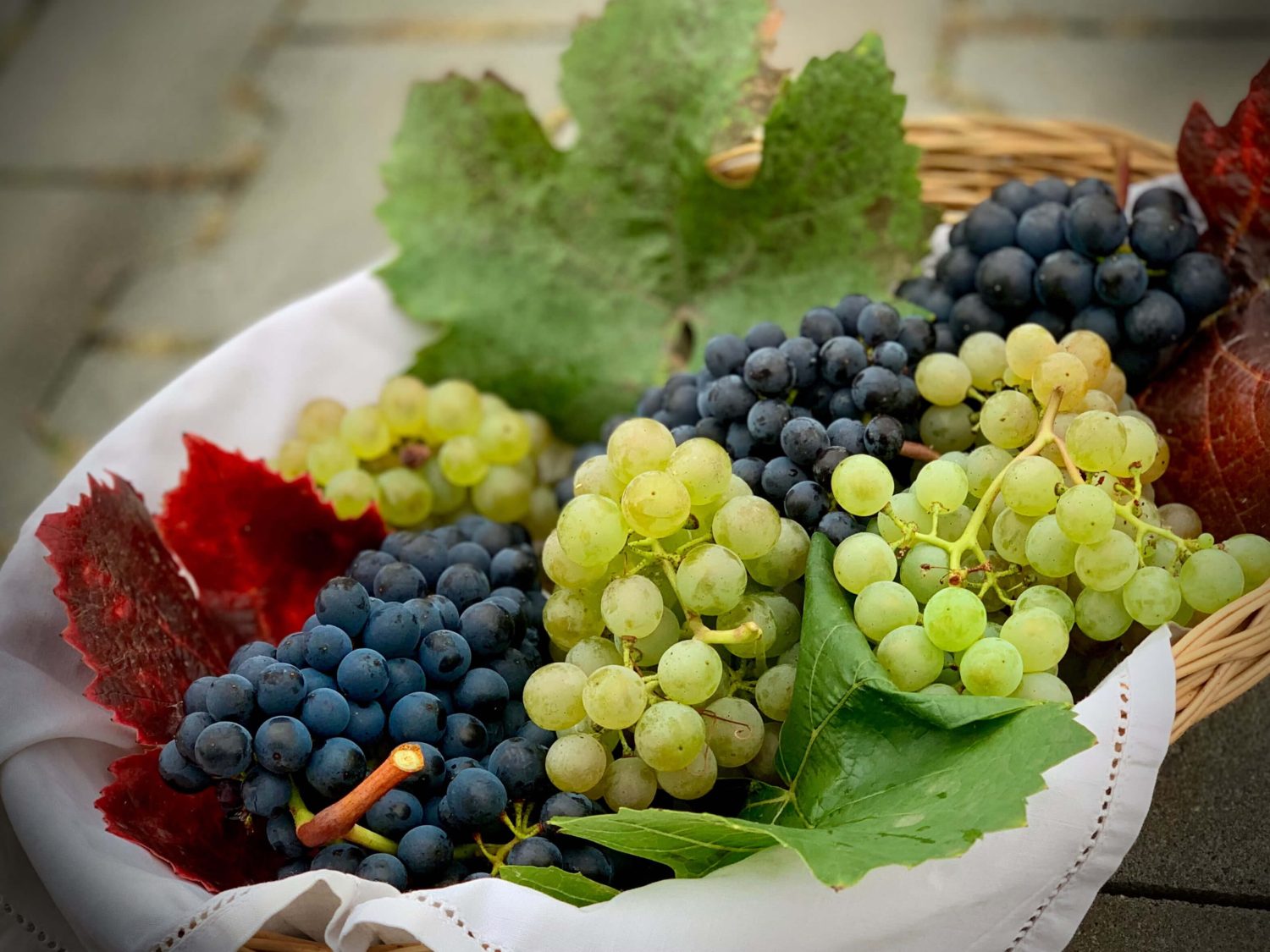 Rote und grüne Weintrauben in einem korb neben Weinblättern.