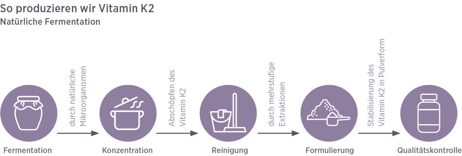 Infografik zum Produktionsprozess von Vitamin K2 Vida: Von Fermentation bis Qualitätskontrolle - verständlich mit Piktogrammen dargestellt. Informieren Sie sich, bevor Sie Vitamin K2 Vida kaufen.