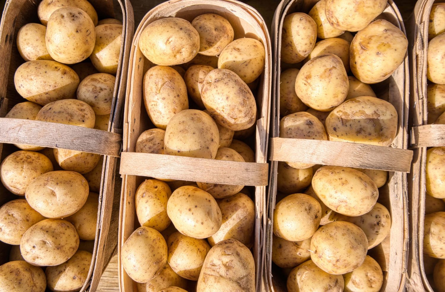 Viele Kartoffeln in vier Körben nebeneinander.