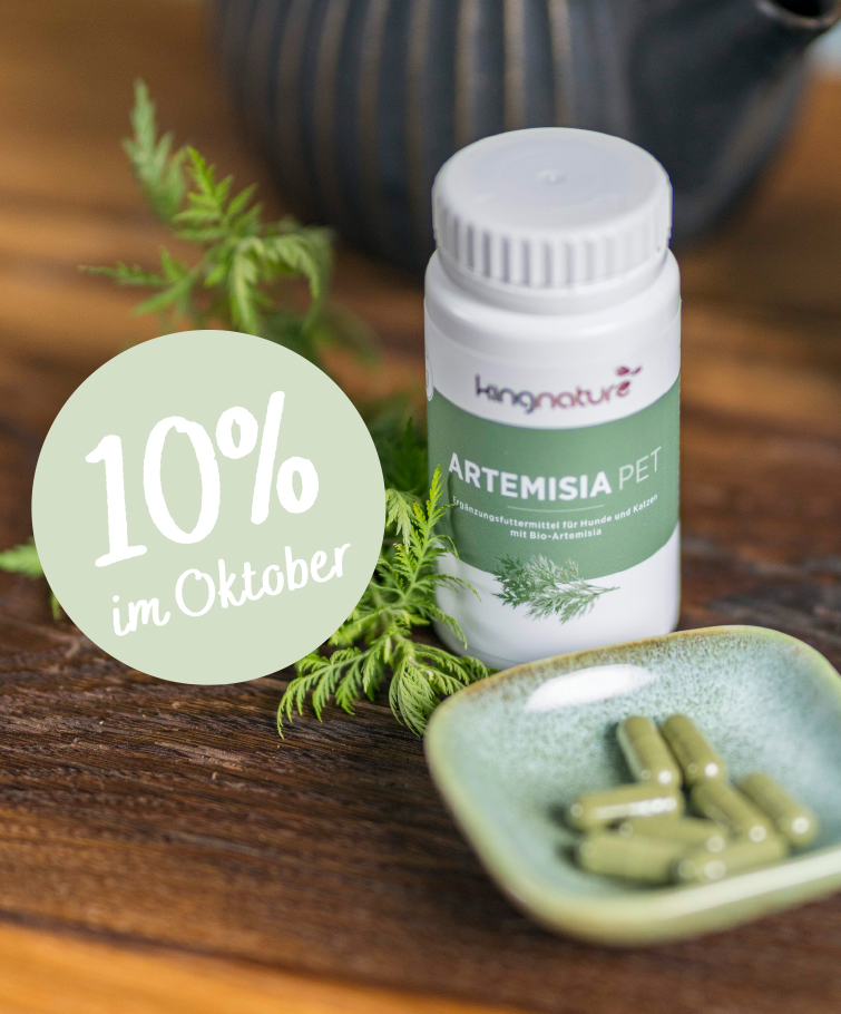 Offene Tablettenfläschchen mit roten Kapseln und Muscheln liegen verstreut auf einer Oberfläche. Ein rundes Etikett mit der Aufschrift „10 % im Mai“ weist auf einen 10%igen Rabatt auf Kingnature Nahrungsergänzungsmittel aus der Schweiz hin. Das Bild wirkt in einem sanften, werbenden Stil.