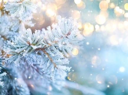 Schneebedeckte Tannenzweige mit frostigen Nadeln im Vordergrund, sanft beleuchtet durch warm leuchtende Bokeh-Lichter im Hintergrund, erzeugen eine festliche und winterliche Atmosphäre – perfekt für herzliche Weihnachtsgrüße von kingnature.