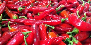 Capsaicin der feurige Inhaltsstoff von Chilis