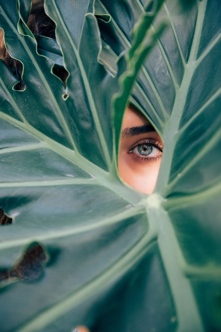 Ein großes grünes Blatt mit einem Ausschnitt gibt den Blick auf das Auge einer Person frei, umgeben von den strukturierten Blattadern, die symbolisieren, wie Vitamine eine gute Sicht unterstützen.