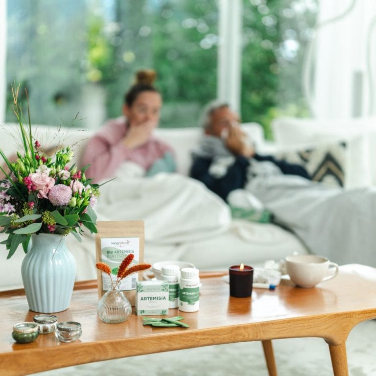 kingnature ArtemisiaShotPET - INSTA 5