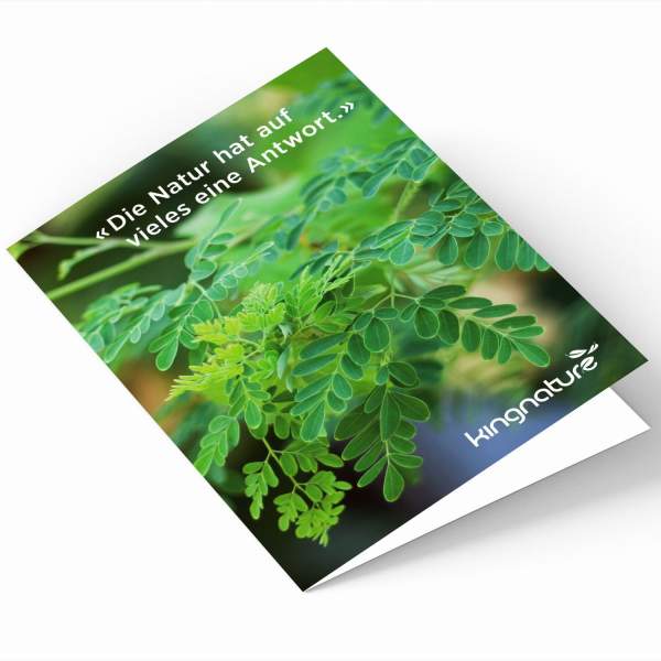 Eine gefaltete Broschüre mit grünen Blattpflanzen auf dem Cover und dem deutschen Text: «Die Natur hat auf vieles eine Antwort.» Das kingnature-Logo ist in der unteren rechten Ecke sichtbar und hebt natürliche Lösungen hervor.