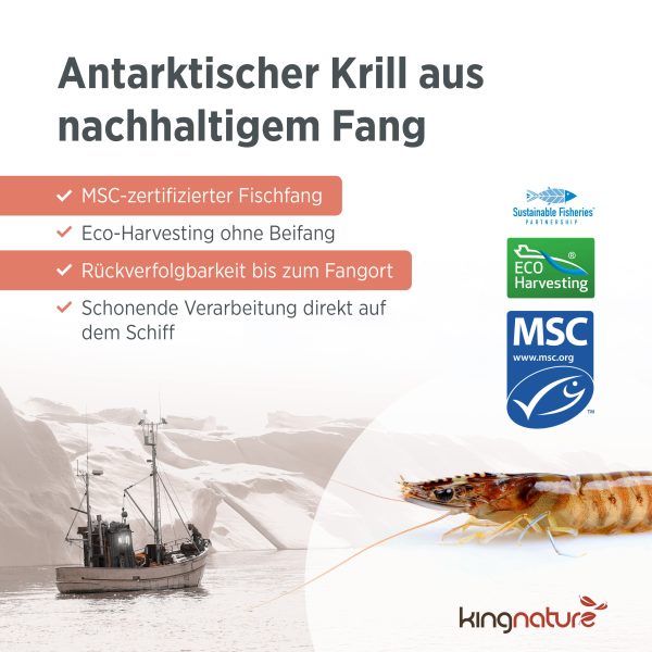 Infografik zu Krill Vida: Zeigt den nachhaltigen Fang von Antarktischem Krill mit MSC-Öko-Siegel, ein Boot und Bilder von Krill. Hebt zertifizierte Beschaffung, Rückverfolgbarkeit und schonende Verarbeitung hervor – ideal für alle, die Omega-3-Fettsäuren kaufen möchten.