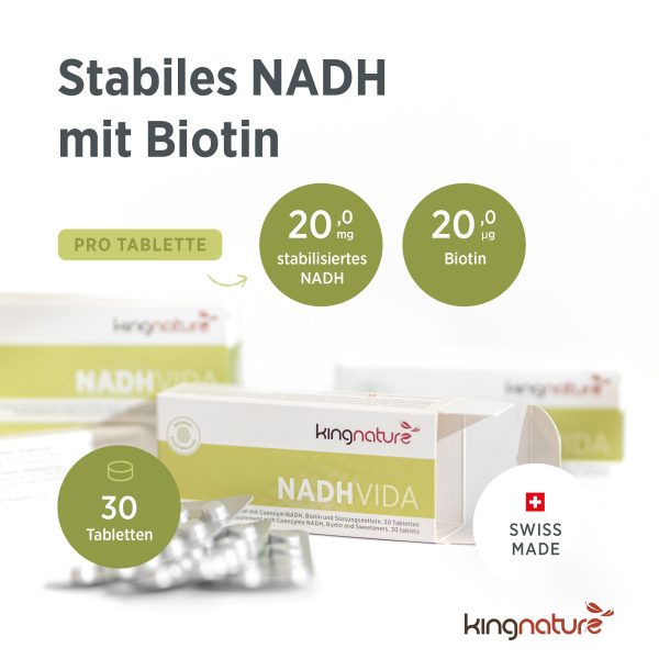 kingnature_nadh-vida_listing-2 Abgebildet ist eine Packung NADH Vida-Tabletten mit der Aufschrift „Stabiles NADH mit Biotin“, 20 mg NADH, 20 µg Biotin pro Tablette, 30 Tabletten pro Packung, Swiss Made. Auf der weiß-grünen Verpackung ist der Produktname deutlich hervorgehoben.