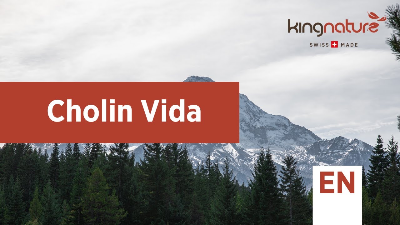 Das Bild zeigt das deutsche Wort „folgt“ in fetten, schwarzen Kleinbuchstaben zentriert auf einem hellgrauen Hintergrund und spielt damit subtil auf das Produkt Vitamin C Vida an.