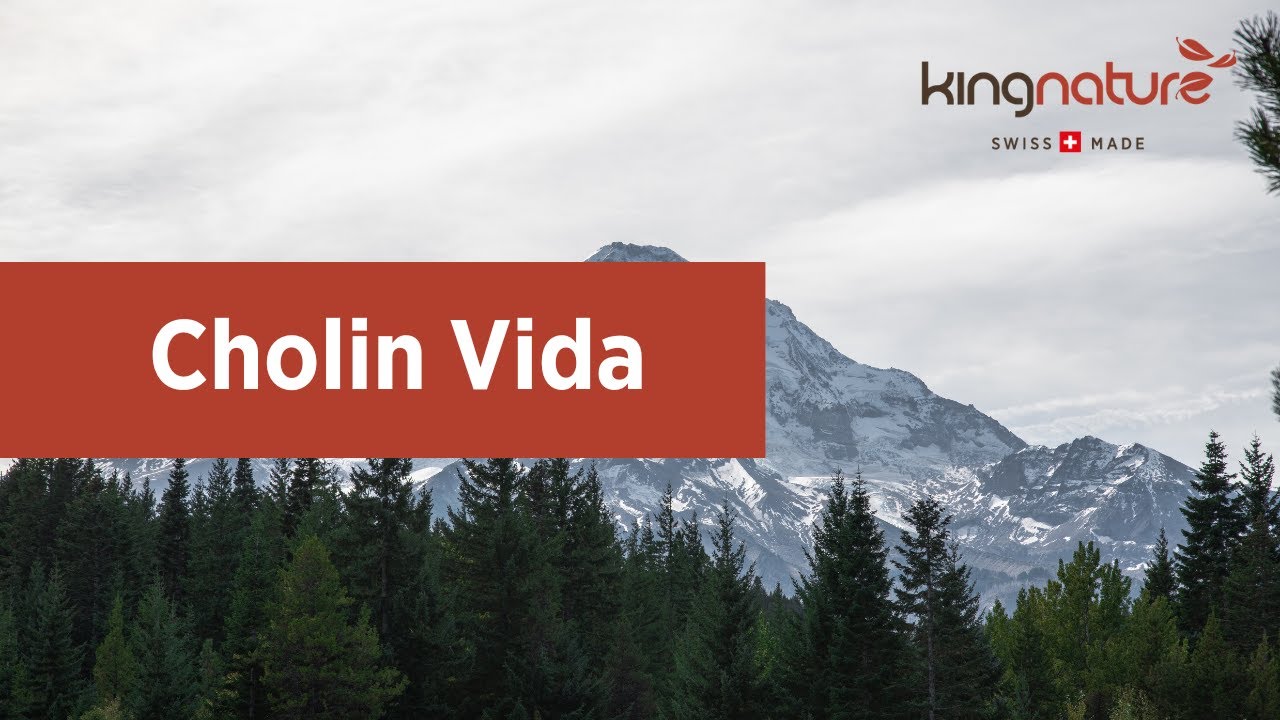 Das Bild zeigt das deutsche Wort „folgt“ in fetten, schwarzen Kleinbuchstaben zentriert auf einem hellgrauen Hintergrund und spielt damit subtil auf das Produkt Vitamin C Vida an.